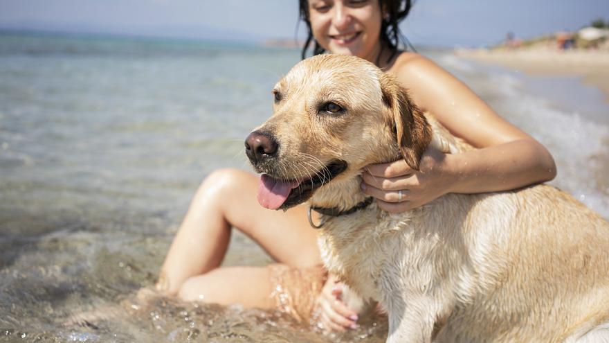 Las mejores playas caninas españolas para darte un baño con tu perro